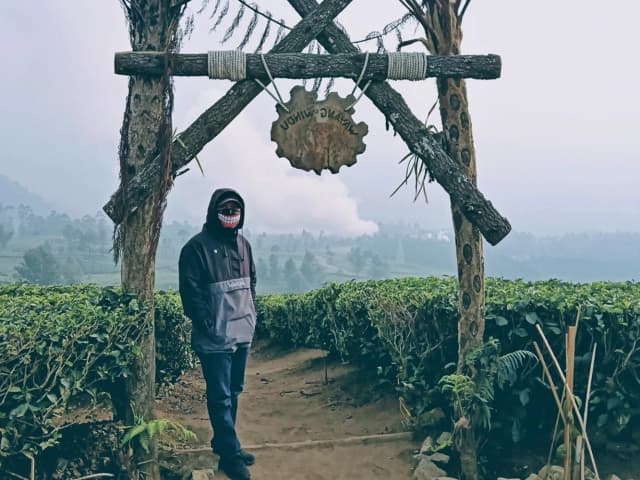 postingan